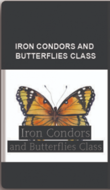 OPTION ELEMENTS – IRON CONDORS AND BUTTERFLIES CLASS