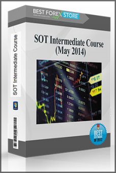 Schooloftrade – SOT Intermediate Course (May 2014)