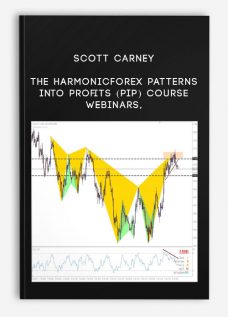 Scott Carney – The HarmonicForex Patterns into Profits (PIP) Course Webinars