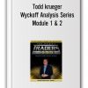 Todd krueger – Wyckoff Analysis Series Module 1 & 2