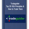 Tradeguider – Top 20 VSA Principles & How to Trade Them