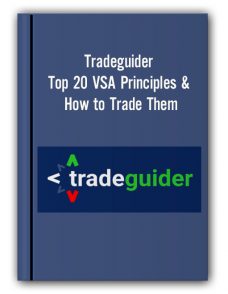 Tradeguider – Top 20 VSA Principles & How to Trade Them