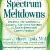 Deborah Lipsky – Autism Spectrum Meltdowns: Effective Interventions for Sensory & Executive Function and Social-Emotional Communication