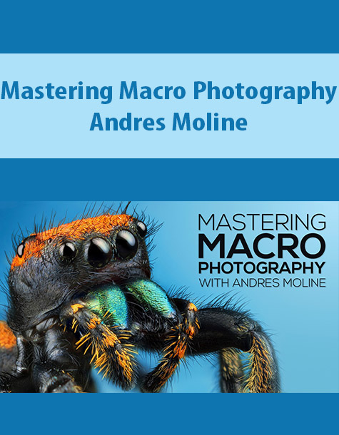 Mastering Macro Photography By Andres Moline
